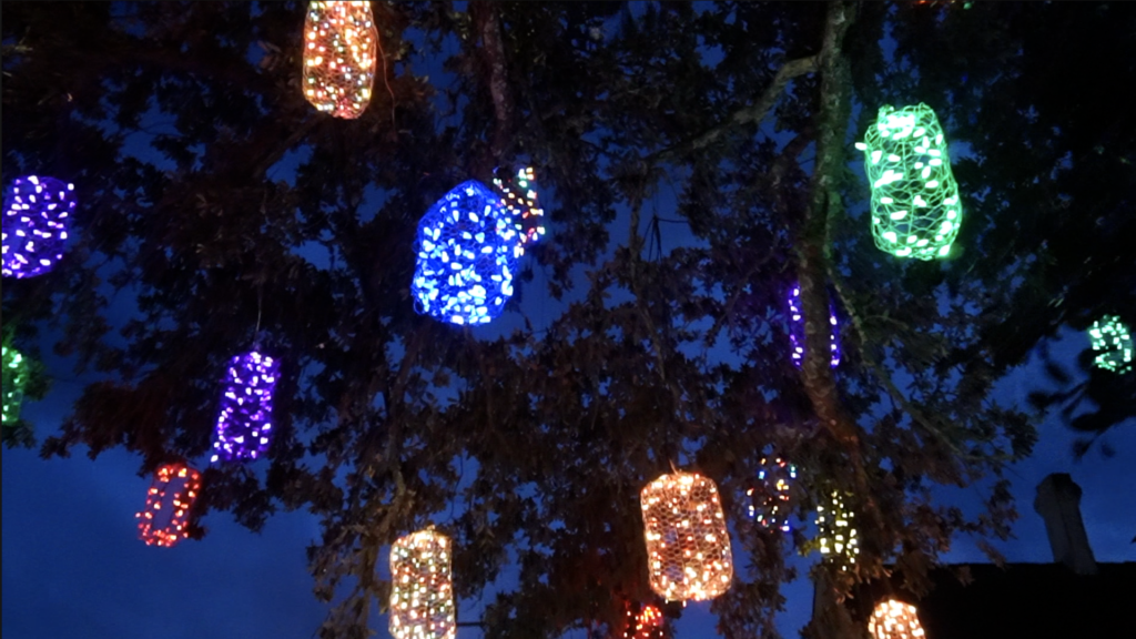 Christmas Lights in the trees in Beaufort, NC for the Candlelight Christmas event is a 3 hour drive from Raleigh